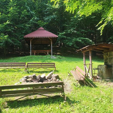 Apartament Widokowy Z Tarasem Bukowa Wisła Eksteriør billede